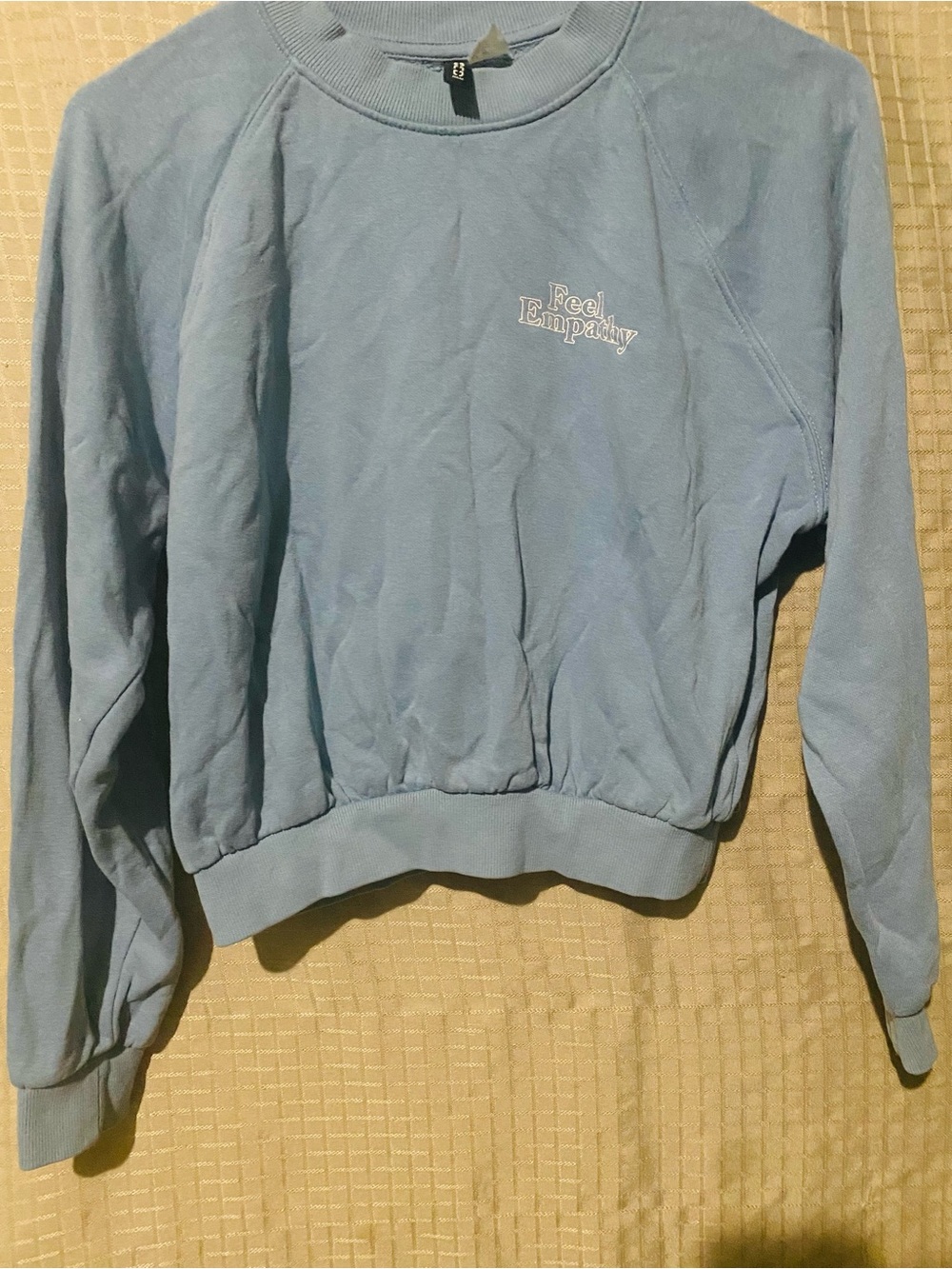 Divided Light Blue Cropped  'Feel Empathy' Crewneck Sweater